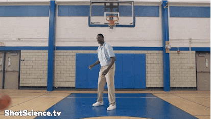 10 Strongest NBA Players Of All Time Roy Hibbert